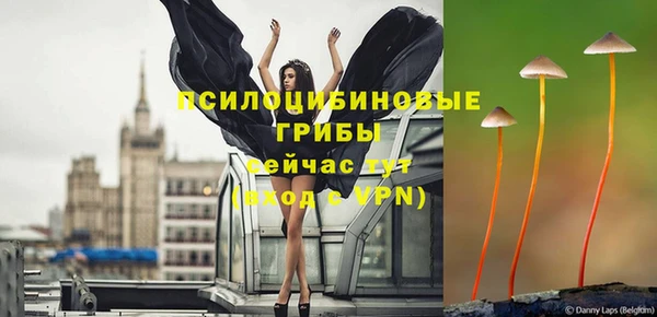 ешки Богородицк