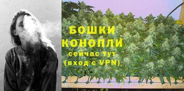 прущая мука Богданович